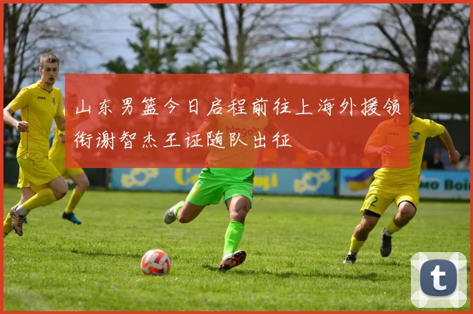 山东男篮今日启程前往上海外援领衔谢智杰王证随队出征